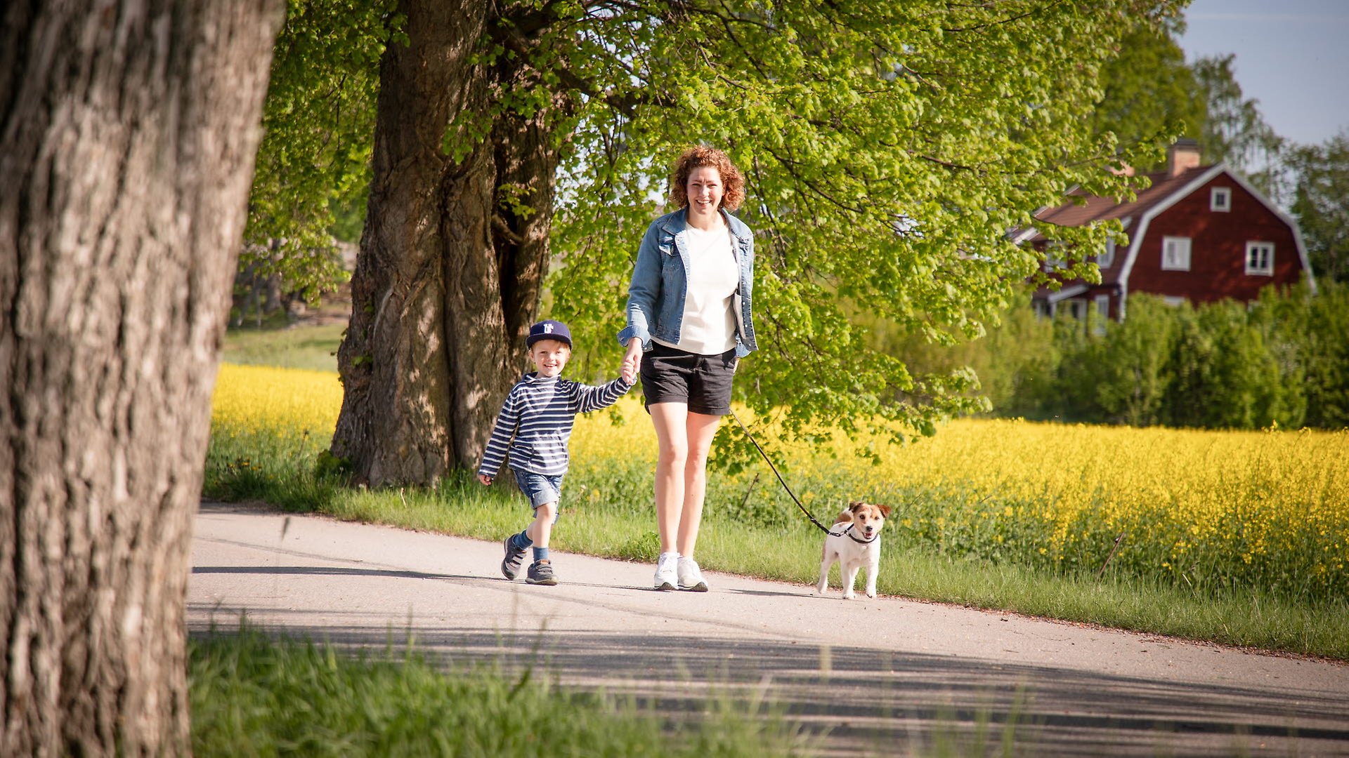 En kvinna håller handen med en pojke och promenerar på en väg. Kvinnan håller även en hund i koppel. I bakgrunden syns träd och gula rapsfält.